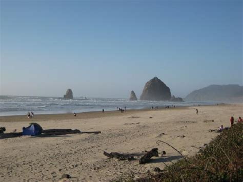 Cannon Beach Oregon Coast Picture Of Astoria Oregon Coast Tripadvisor