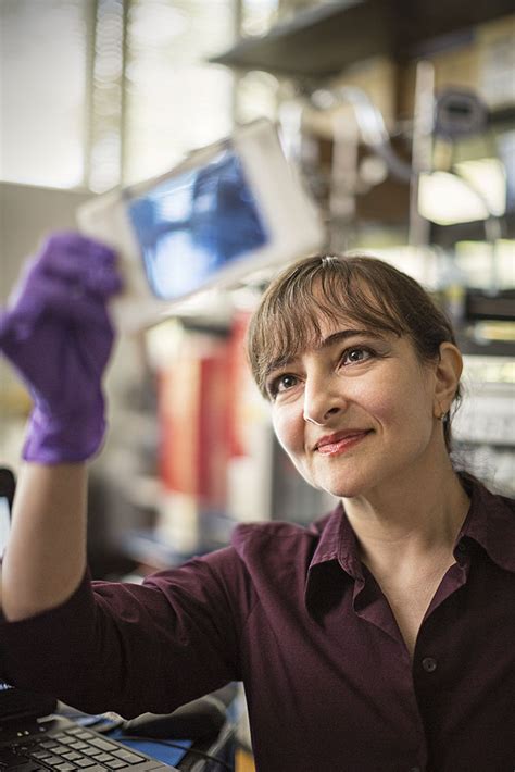 Beata Chertok Phd Imagined She Could Find A Way To Treat Brain