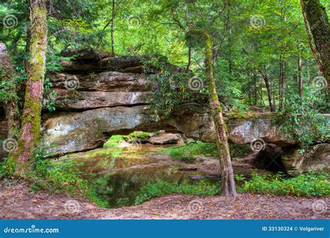 Mountain Forest And Natural Stone Bridge Stock Photo Image Of Forest
