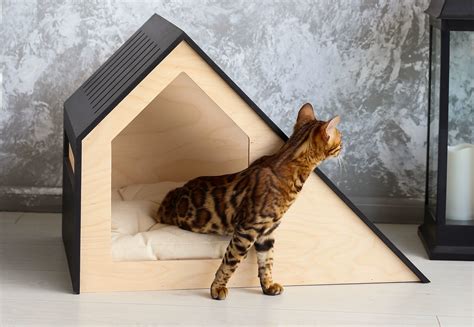 Modern Cat Bed Modern Pet Modern House Mimi Chat Niche Chat Wooden