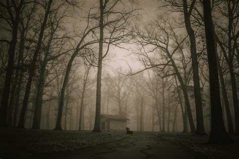 500 Haunted Pictures Download Free Images On Unsplash