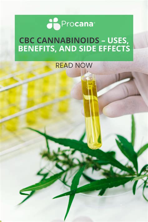 Cbc Cannabinoids Uses Benefits And Side Effects In 2022