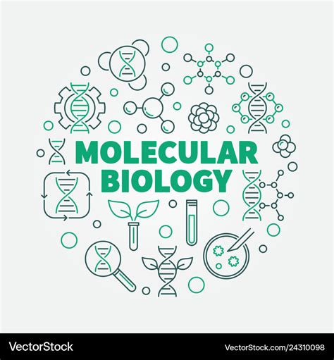 Molecular Biology Round In Royalty Free Vector Image