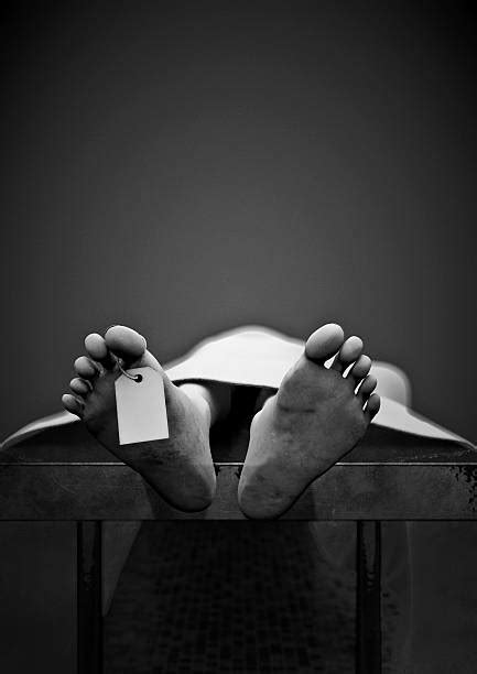 1200 Dead Body Morgue Stock Photos Pictures And Royalty Free Images
