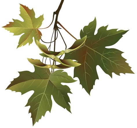 Autumn Leaves Branch Png Clipart Image Gallery Yopriceville High