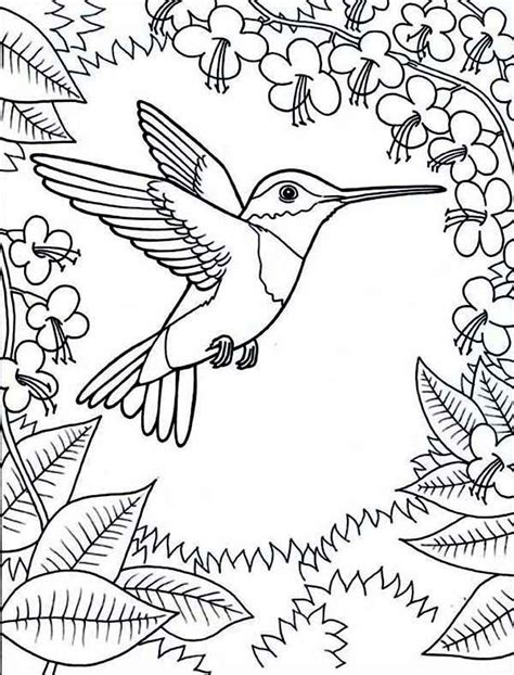 Download this coloring page/print this coloring page. Hummingbirds, : framed-by-flowers-hummingbird-coloring ...