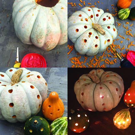 Specialty Pumpkins And Gourds How To Carve