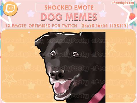 Twitch Emote 1x Shocked Dog Dog Meme Twitch Emotes Streamer