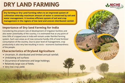Dryland Farming Niche Agriculture