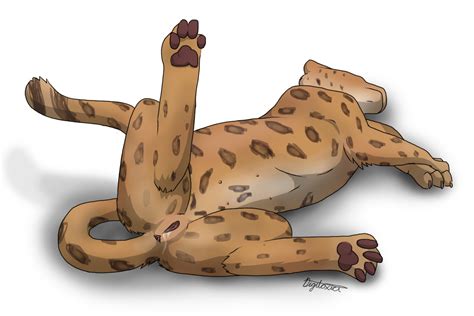 Rule 34 Digitoxici Feline Female Feral Hi Res In Heat Jaguar