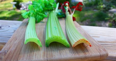 Thinksmall Transpiration Inspiration Another Great Celery Experiment
