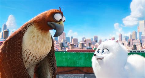 And then next possibility in. The Secret Life of Pets - Humor, Great Cast, Beautiful ...