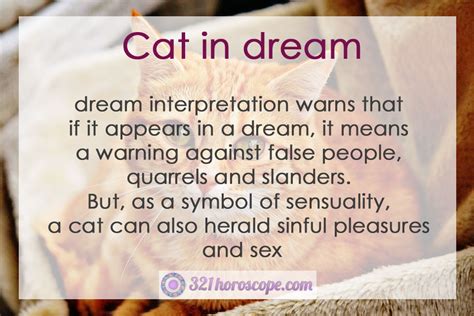 Cat Dream Meaning What Does Dreaming About Cat Mean