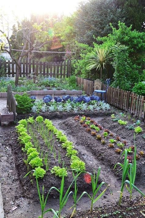 Get Inspired With These Vegetable Garden Ideas Decoomo
