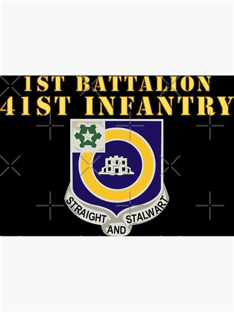 Army 1st Bn 41st Infantry Dui X 300 Hat Poster By Twix123844