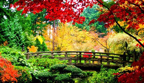 🔥 Download Japan Natural Landscape Beautiful Places Wallpaper By Julieb16 Japan Nature