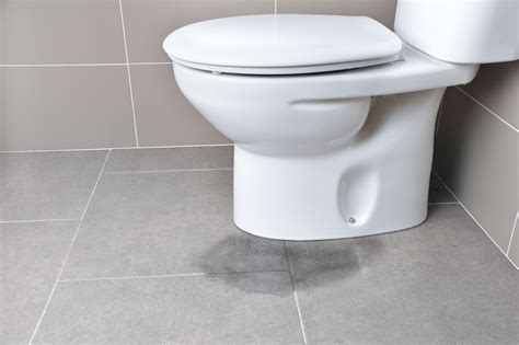 What To Do About A Clogged Toilet Flader Plumbing