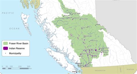 Fraser River Sockeye Coming Late July Or Early August At Earliest Says