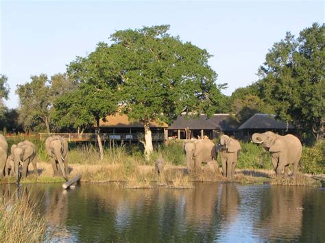 Private Islands For Rent Sabi Sabi Private Game Reserve South Africa Indian Ocean And Africa