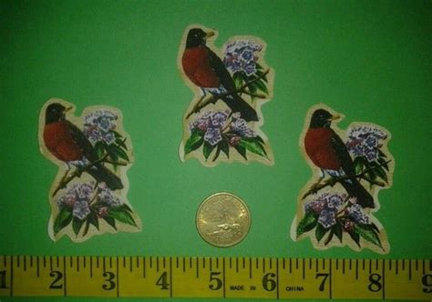 Connecticut State Bird And Flower Iron Ons Fabric Appliques