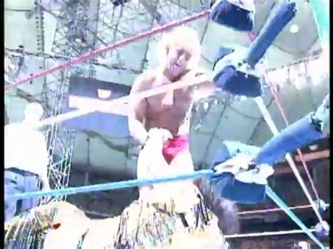 Randy Savage vs Ric Flair Wrestlemania VIII Vídeo Dailymotion