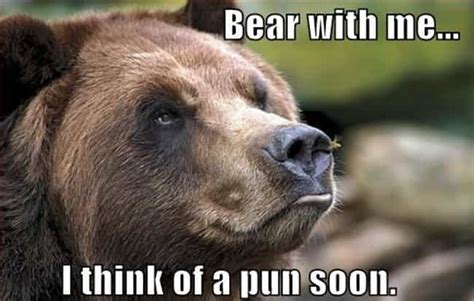 Unbearably Funny Bear Puns Viraluck