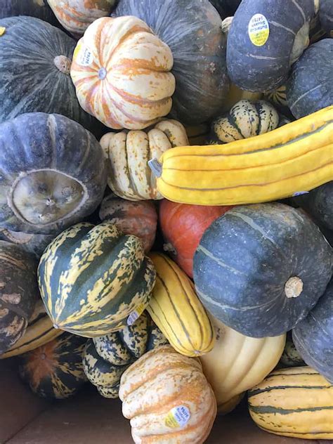 The creative uses for decorative gourds is limited only to your need and imagination, as these natural container shapes can be sawed, drilled, burned, etched or shaped for many uses. Decorative Gourds - Muy Bueno Cookbook