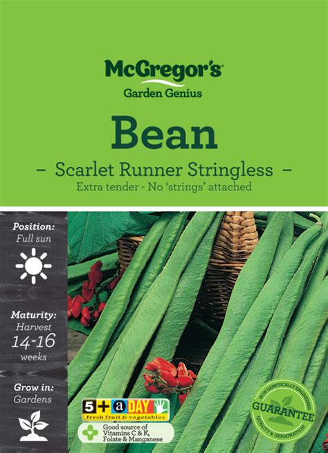 Seeds Mcg Bean Stringless Scarlet Runner Springvale Garden Centre