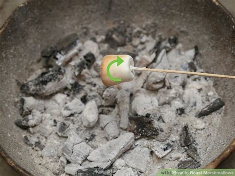 How To Roast Marshmallows 13 Steps With Pictures Wikihow
