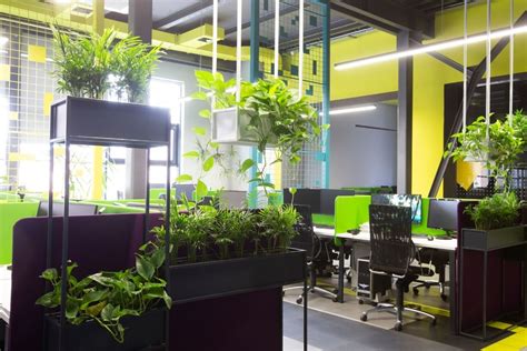 Biophilic Design Discover How It Benefits Your Life And Work Environment