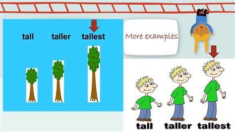Tall Taller Tallest Youtube