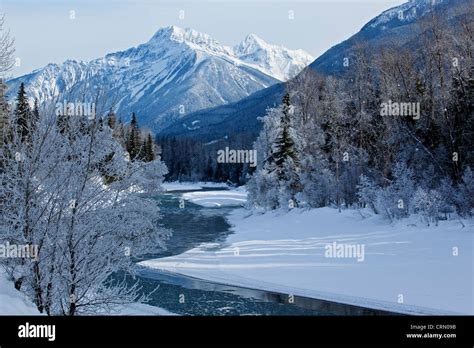 A Winter Scene Along The Illecillewaet River British Columbia Stock