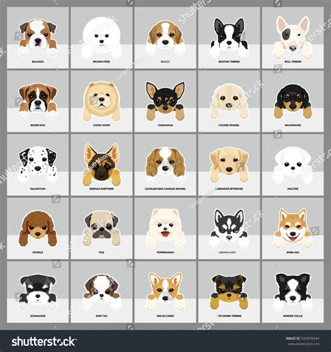 Set Dogs Vector Illustration 25 Breeds Stock Vector Royalty Free
