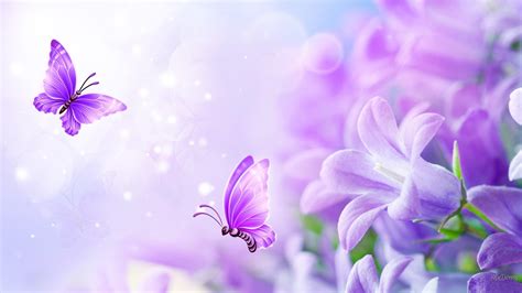 Обои С Фиолетовыми Бабочками Лучшая Фото Подборка