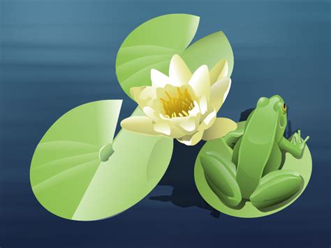 Frog On A Lily Pad Animated Openclipart