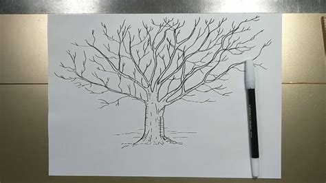 How To Draw A Tree Without Leaves