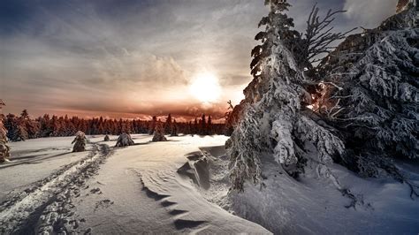 Landscape Covered With White Snow During Sunrise Hd Winter