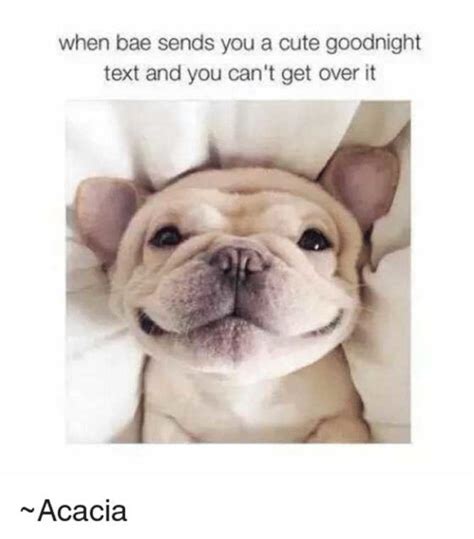 Top 76 Good Night Memes Funny Good Night Sleep Well Dog Memes Clean