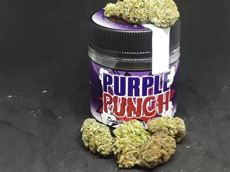 Buy Purple Punch Online Greenrush Delivery