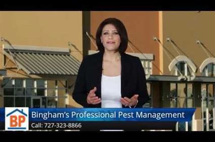 Pest control business types include: Tampa Bay Florida Pest Control Team Eliminates Bed Bugs ...