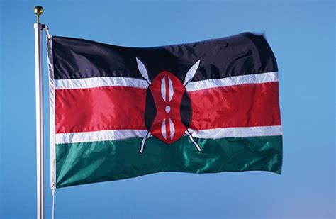 See the full list of case locations. Kenya to adopt digital certification of Covid-19 patients ...