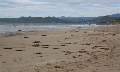 Find holiday rentals a few meters from the beach and save up to 55% with holidu. Morro Strand State Beach, Morro Bay, CA - California Beaches