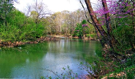 Here Are 7 Swimming Holes In Ohio To Check Out Asap
