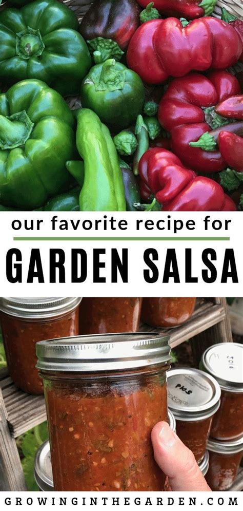 Our Favorite Garden Salsa Recipe Garden Salsa Recipe Garden Salsa Salsa Recipe