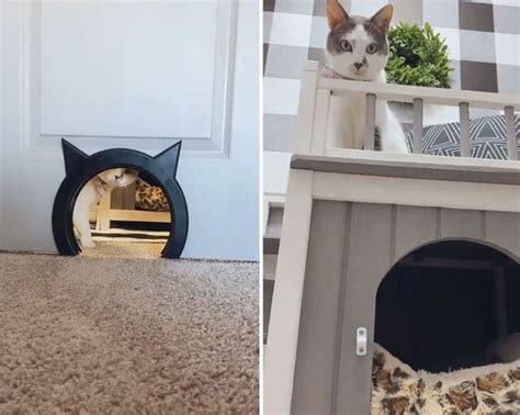 Couple Builds Cozy Dedicated Cat Room For Their Beloved Stella