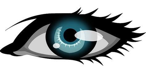 Eye Looking Eyeballs Free Vector Graphic On Pixabay