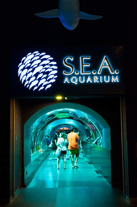 Resort World Sentosa Sea Aquarium Rigel