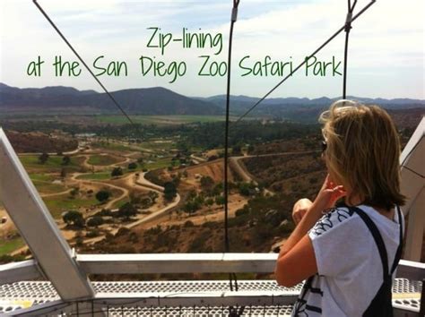 Zip Lining At The San Diego Zoo Safari Park