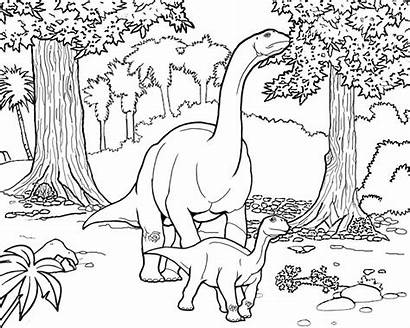 Drawing Dinosaur Coloring Pages Prehistoric Jurassic Printable