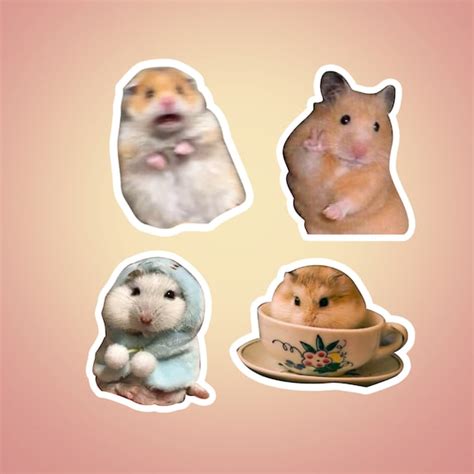 Hamster Meme Sticker Pack Pack Of 4 Waterproof Funny Hamster Etsy